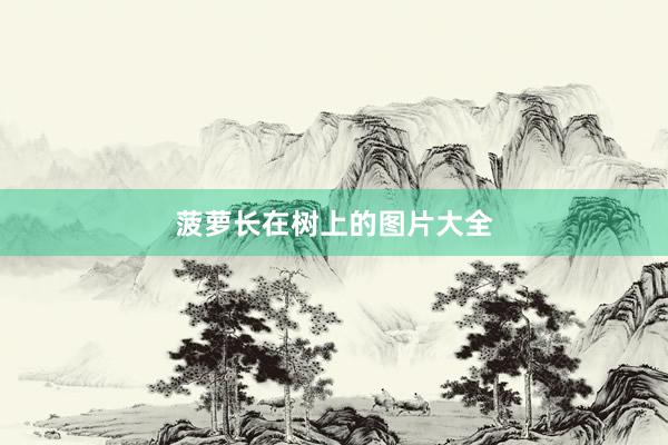 菠萝长在树上的图片大全